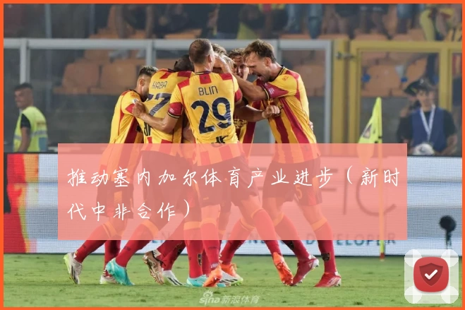 推动塞内加尔体育产业进步（新时代中非合作）