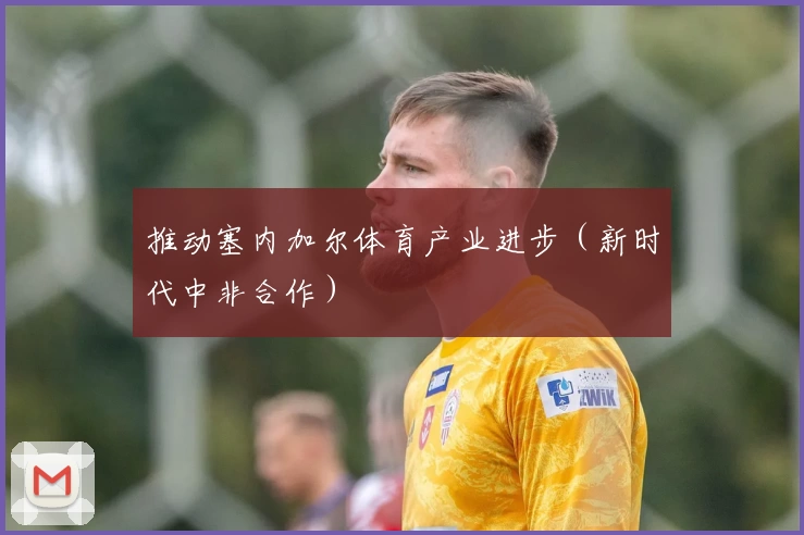 推动塞内加尔体育产业进步（新时代中非合作）